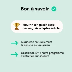 Semences gazon création et rénovation pour tous types de terrain Bleen - 1 kg