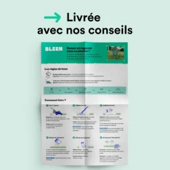 Semences gazon création et rénovation pour tous types de terrain Bleen - 5 kg