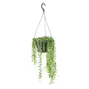 Senecio Herreanus suspension Ø12xH25 cm