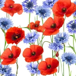 Serviettes en papier 3 plis x 20 Summerfield - 33 x 33 cm