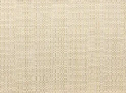 Set de table neige/or en PVC tissé Canna - 33 x 45 cm