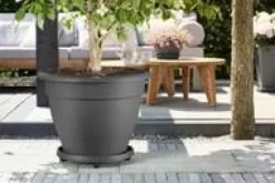 Soucoupe en plastique recyclé anthracite à roulettes Elho Planttaxi - Ø 29,3 cm