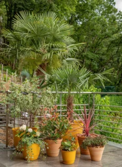 Soucoupe jaune curcuma pour pot Poetic Joy 50 - Ø 38 x H 4,8 cm