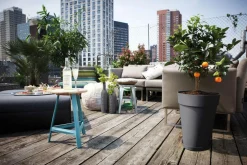 Soucoupe Loft urban Elho anthracite Ø 30 cm