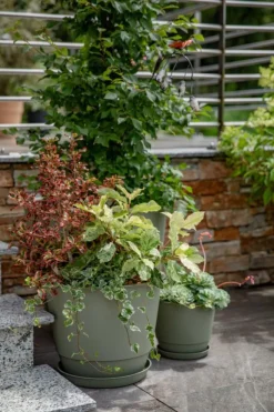 Soucoupe vert kaki pour pot Poetic Joy 60 - Ø 45,6 cm