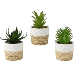 Succulente artificielle verte en cache-pot blanc naturel - Ø 9 x H 14 cm