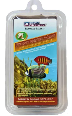 Supplément nutritif algues marines brunes pour poissons d'aquarium Océan Nutrition - 12 g