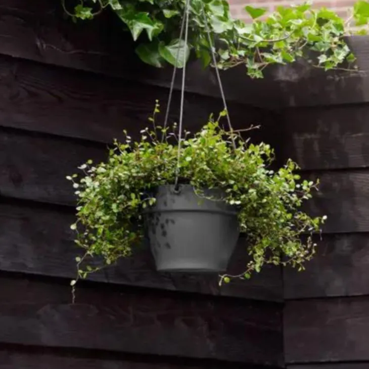 Suspension en plastique gris anthracite Elho Vibia Campana - ø 26 cm