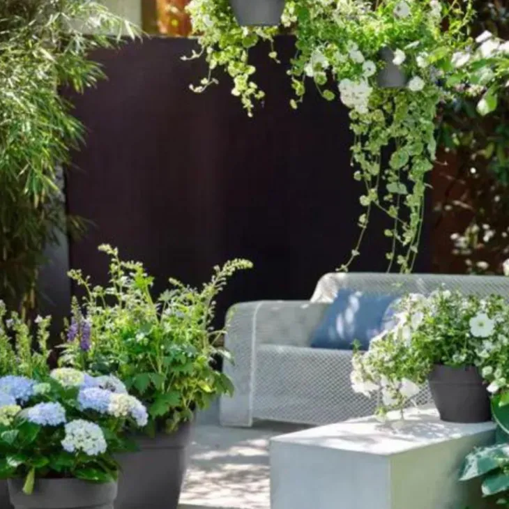 Suspension en plastique gris anthracite Elho Vibia Campana - ø 26 cm