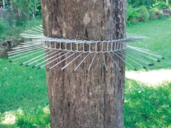 Système anti-prédateur chat pour oiseaux de la nature Schwegler – Ø 70 cm