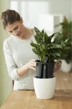 Système d’auto-arrosage en polypropylène noir Elho Self Watering insert - 33 cm