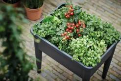 Table de culture super XXL living noir Green Basics