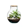 Terrarium autonome botanic® Mimea - 12 L Ø 21 cm H 25 cm