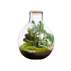 Terrarium autonome botanic® Karafu - Taille 25 L Ø 37 cm H 46 cm