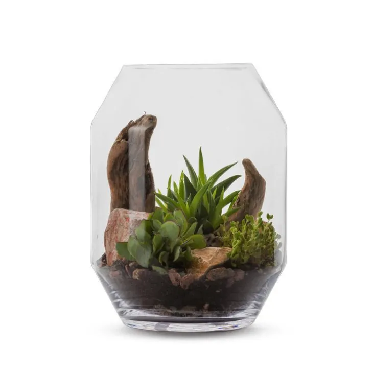 Terrarium Barnwell Succulente en verre transparent Naturalys taille L - Ø 25 x 33 cm