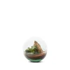 Terrarium Bulle de Nature Mini Monde en verre transparent Naturalys taille S - Ø 12 x 12 cm