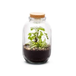 Terrarium Bulle de Nature Naka en verre transparent avec bouchon liège Naturalys - Ø 12,5 x 26 cm
