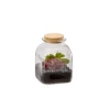 Terrarium cobane Bulle de nature taille M 15,8 x 15,8 x 21 cm