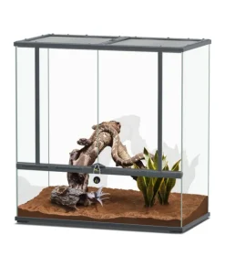 Terrarium coloris gris anthracite Terratlantis Smartline 88 - 88 x 45 x 90 cm