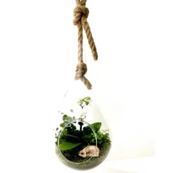 Terrarium Drop en verre transparent à suspendre Naturalys taille L - Ø 20 x 40 cm
