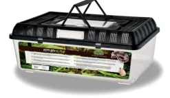 Terrarium en plastique coloris noir Reptile Planet Repti Box Flat - Taille XL 42 x 26 x 16 cm