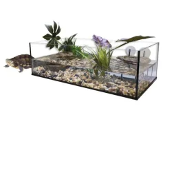 Terrarium pour tortue d'eau aquatique coloris blanc Aquavie kit aqua 100 – 100 x 40 x 30 cm