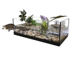 Terrarium pour tortue d'eau aquatique coloris blanc Aquavie kit aqua 80 – 80 x 35 x 25 cm