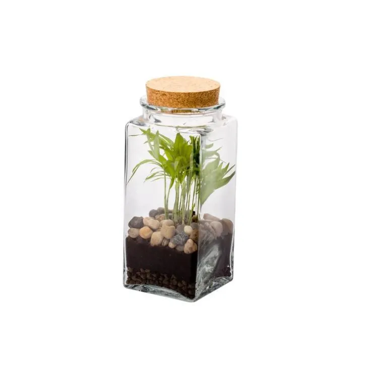 Terrarium quitto Bulle de Nature taille M Ø 10 x h 20 cm