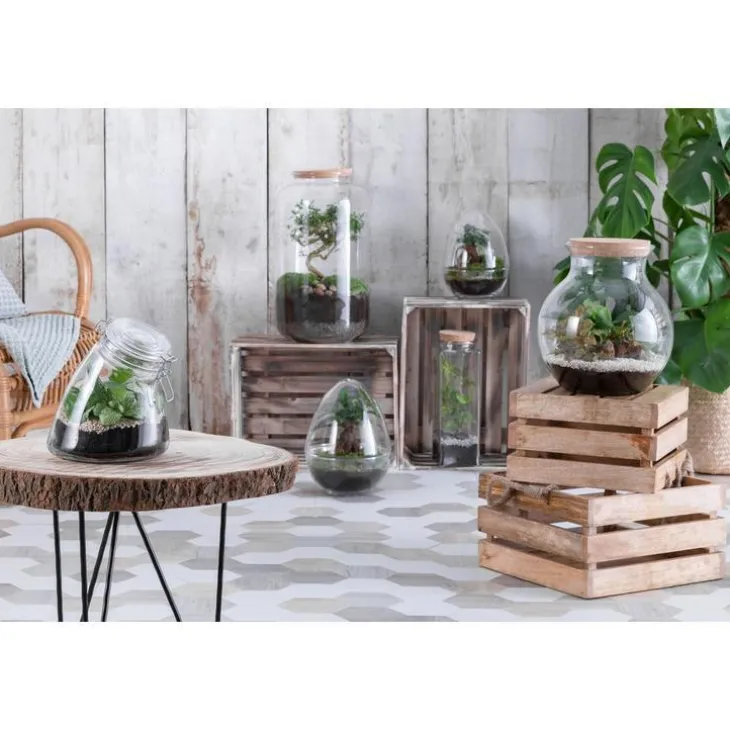 Terrarium quitto Bulle de Nature taille M Ø 10 x h 20 cm