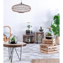 Terrarium quitto Bulle de Nature taille L Ø 10 x h 30 cm