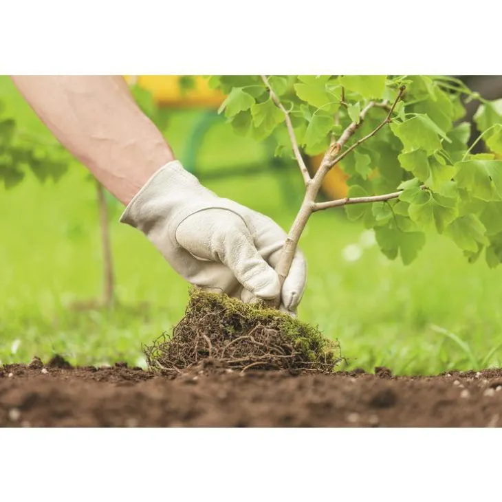 Terre de plantation arbustes et massifs botanic® - 30 L