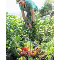 Terre de plantation potager et verger botanic® - 30 L