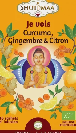 Thé Je vois Shoti Maa bio - 16 x 2 g