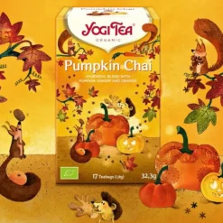 Thé pumpkin chai bio Yogi Tea