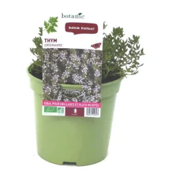Thym Commun Bio. Le pot de 1 litre