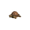 Tortue verte 17cm