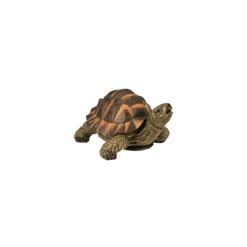 Tortue verte 28cm