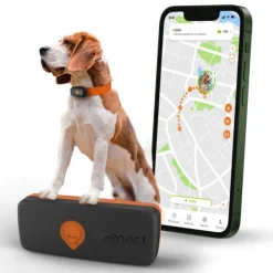 Traceur GPS pour chien coloris noir Weenect