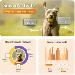 Traceur GPS pour chien coloris noir Weenect