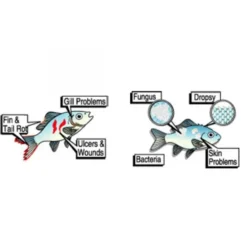 Traitement à large spectre, 20ml - ESHA - modèle 2000