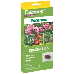 Traitement aux coccinelles anti pucerons Décamp