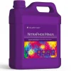 Traitement d'eau anti-nitrate et phosphate, AQUAFOREST NitraPhos Minus - 2L
