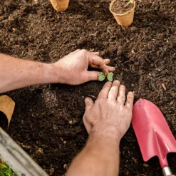 Transplantoir à poignée bois coloris clafoutis