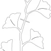 Treillis en métal forme Ginkgo Vitis in situ - 46 x 25 cm