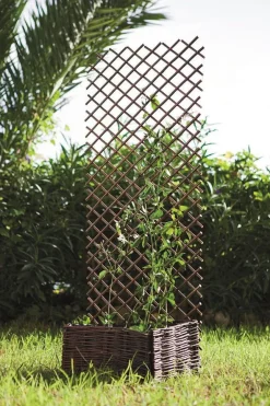 Treillis extensible en osier naturel Nortene Treilliwillow - 0,50 x 1,50 m