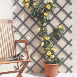 Treillis extensible Treilliflex gris en PVC 200x100 cm