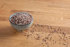 Trio de quinoa bio en sac de papier kraft Primeal - 5 kg