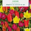 Tulipe en mélange botanic® - 25 bulbes