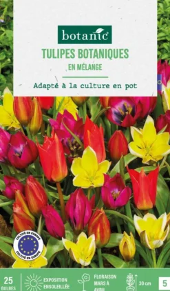 Tulipe en mélange botanic® - 25 bulbes