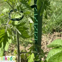 Tuteur à tomate avec 4 attaches coloris vert  - 180 cm